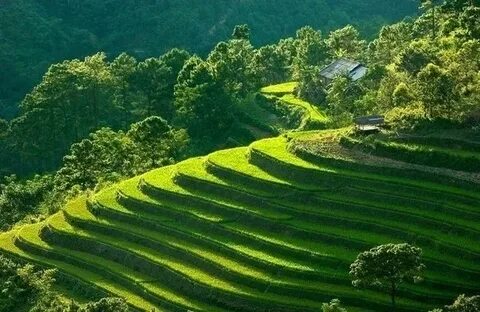 Hotspot Matrix và Chùm ảnh: Nắng nóng kinh hoàng, AI 