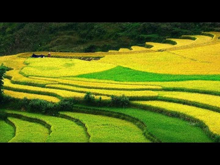 Hotspot Matrix: Khơi nguồn sức mạnh video ngắn