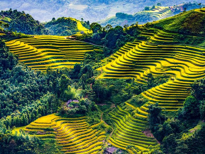 Tiêu đề: [Hotspot Matrix]: Sự Nghiệp Chướng - Pháo's Honest Take on Love and Life