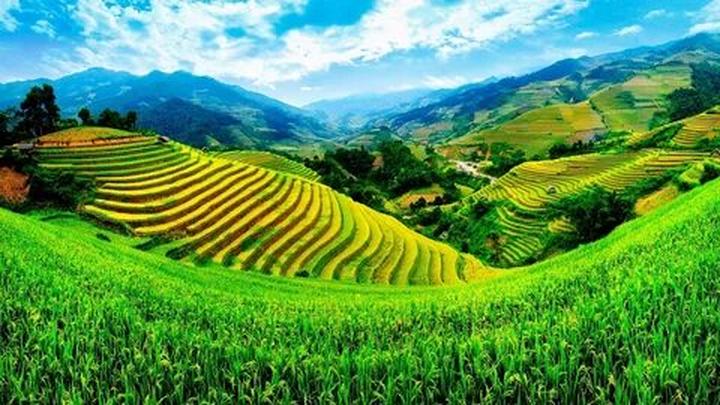 Vươn Cao cùng Hotspot Matrix: Chuyện Thành Công của [Tên Doanh Nghiệp]
