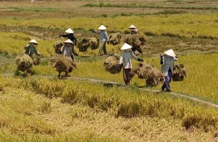 Từ Khuyết Tật Đến Triệu View: Câu Chuyện Cảm Hứng Của Tuấn Anh